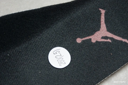 AV2187-160 Low Jordan Concord Retro 11  AV2187-160 Bred Air 0518